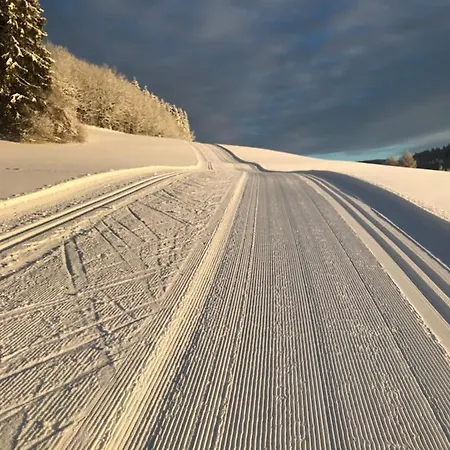 Casa D'antino Apartament *